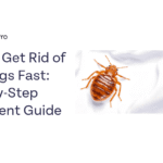 How to Get Rid of Bed Bugs Fast Step by Step Treatment Guide 1 1