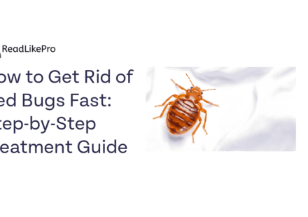 How to Get Rid of Bed Bugs Fast Step by Step Treatment Guide 1 1