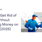 How to Get Rid of Ants in the House