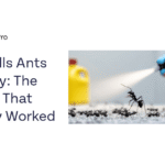 What Kills Ants Instantly? What Works and What Just Looks Like It Does