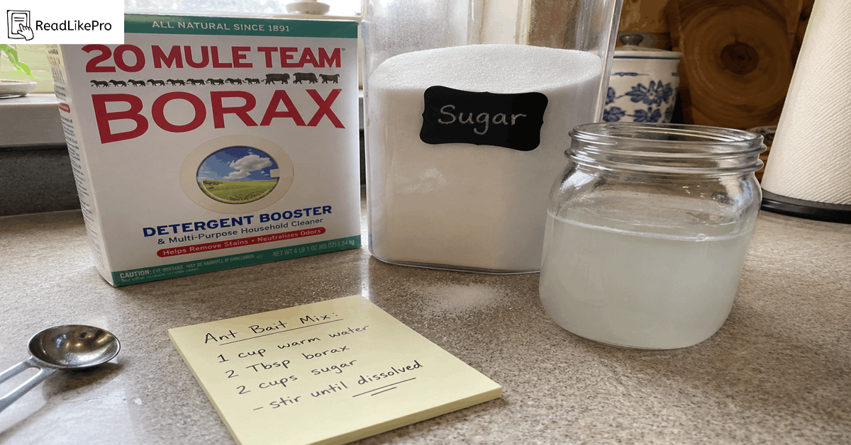 borax sugar ant bait mixture ingredients with handwritten recipe