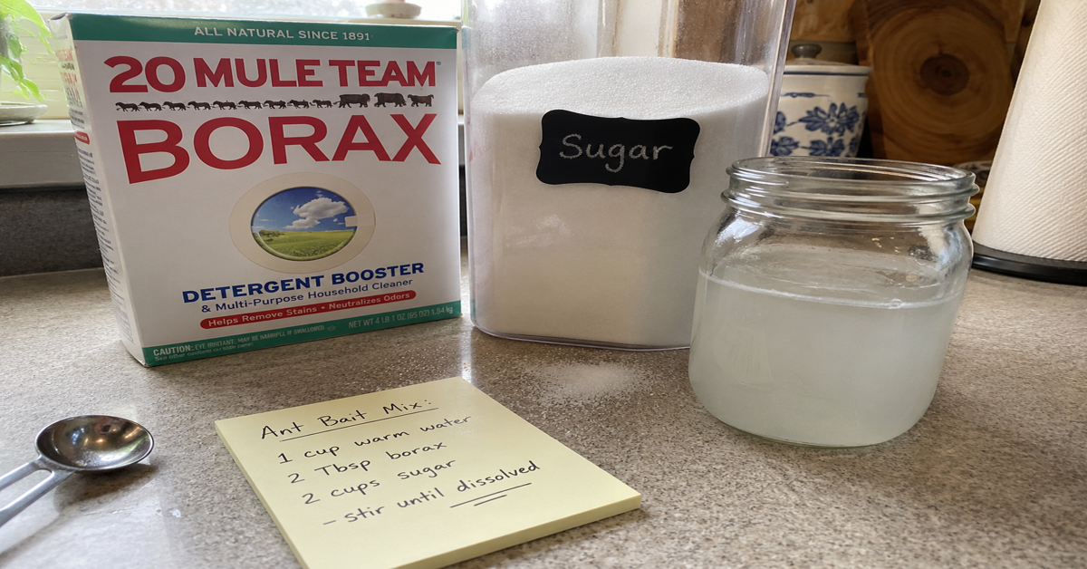 What Kills Ants Instantly? What Works and What Just Looks Like It Does 2