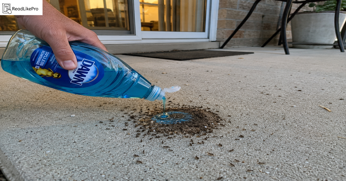 squeezing dish soap directly onto ant mound on patio