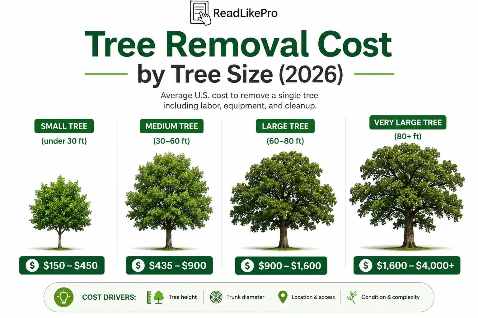 Tree Removal Cost in 2026: Real Prices, Hidden Fees, and How to Avoid Overpaying 1 Tree Removal Cost by Size Infographic