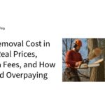 Tree Removal Cost in 2026